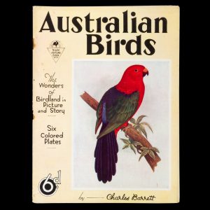 Australian birds  : the wonders of Birdland in picture and story