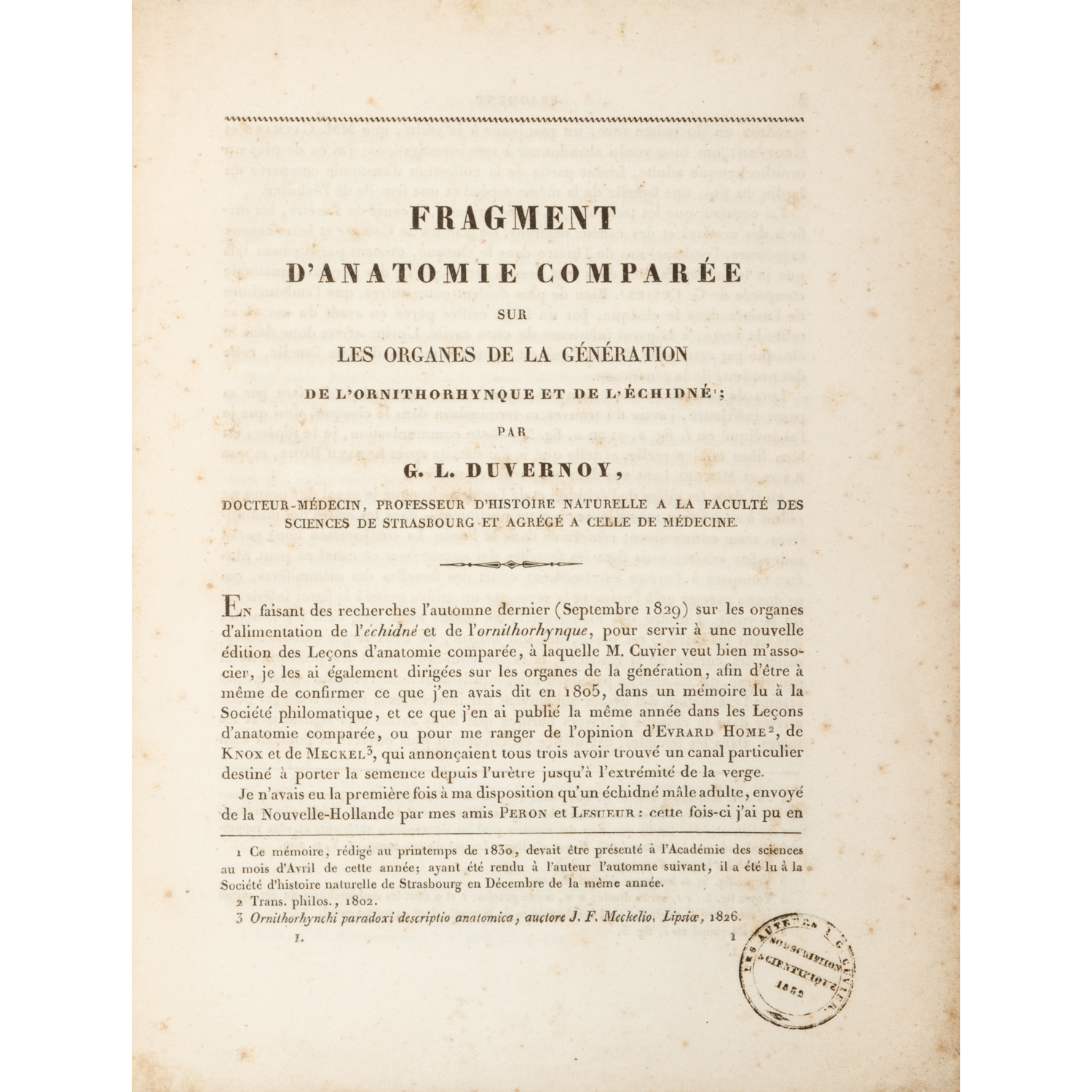 Fragment d'anatomie comparée sur les organes de la génération de l ...