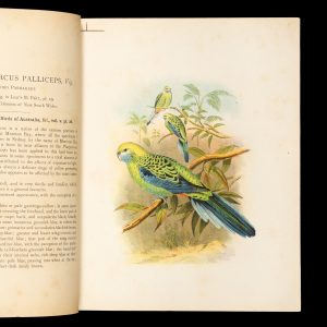 The avi-fauna of Australia : comprising Gould's Birds of Australia and all other birds discovered in the Australian colonies since 1850.