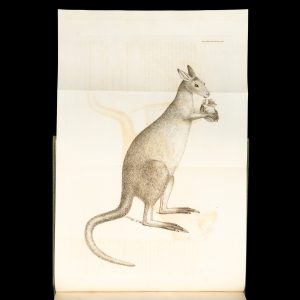 [BOTANY; KANGAROO; NEW HOLLAND] The Transactions of the Linnean Society of London. Volume VIII. [1807]