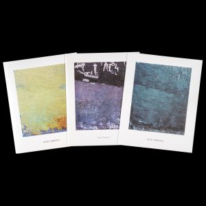 Aida Tomescu : three catalogues