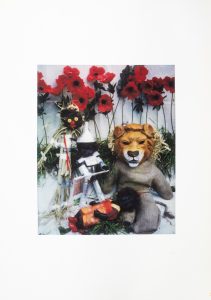 Under the spell of the tall poppies : from the series "Oz" (1998)