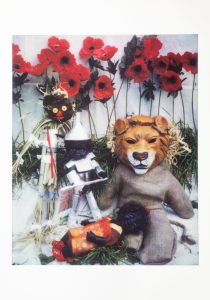 Under the spell of the tall poppies : from the series "Oz" (1998)