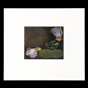Recollections : words and images