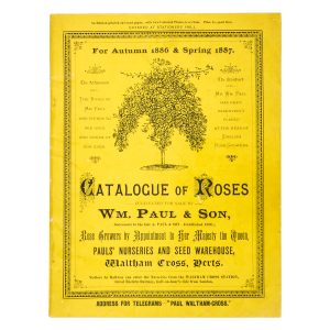 Catalogue of roses cultivated for sale by Wm. Paul & Son