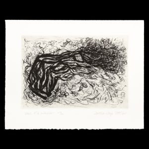 Hertha Kluge-Pott : printmaker (deluxe edition)