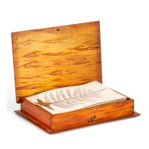 New Zealand fern specimens in original kauri wood box, early 1880s.