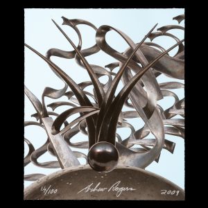 Andrew Rogers : geoglyphs, rhythms of life (deluxe edition)