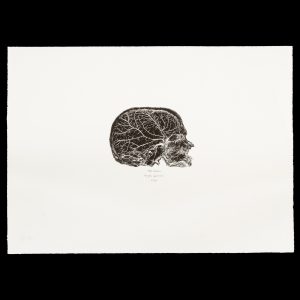An original signed lithograph by Tate Adams