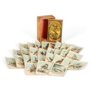 The Infant's Cabinet of Birds.