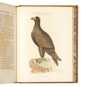 An Account of the English Colony in New South Wales :
