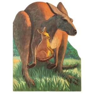Kankie Kangaroo ... who couldn't hop