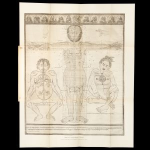 The Tibetan anatomical system