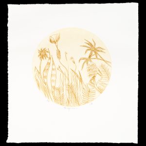Tropical