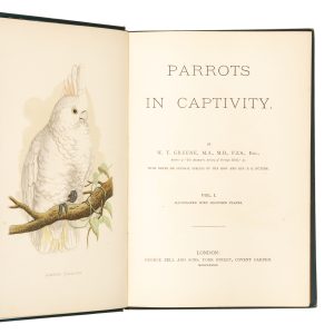 Parrots in captivity