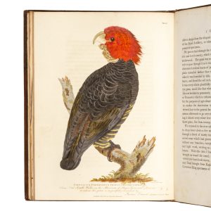 The narrative of a voyage of discovery performed in His Majesty's vessel the Lady Nelson, of sixty tons burthen, with sliding keels, in the years 1800, 1801, and 1802, to New South Wales.