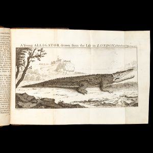 A cruising voyage round the world : first to the South-Sea, thence to the East-Indies, and homewards by the Cape of Good Hope. Begun in 1708, and finish'd in 1711.