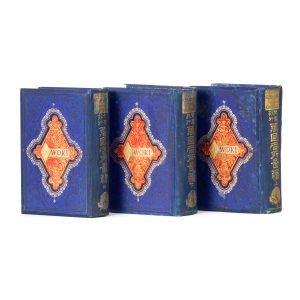 Illustrated guide book for travellers round the world