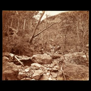 [BLUE MOUNTAINS] View in the Grose Valley, New South Wales, c.1890.