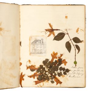 Commonplace book compiled by a young Melbourne woman (1867-78) with later entries by her daughter (1889-1890).