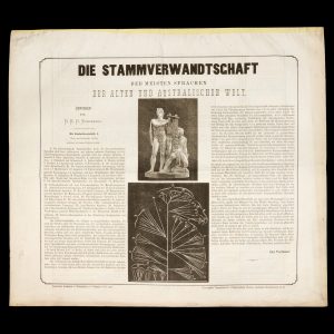 Die Stammenverwandtschaft der meisten Sprachen der Alten und Australisches Welt.