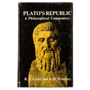 Plato's Republic. A philosophical commentary