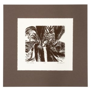 Tropical wood-engravings.
