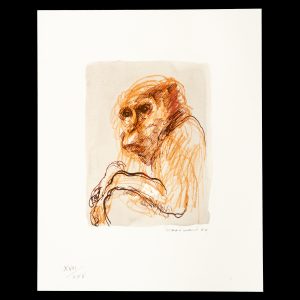 Margaret Woodward (deluxe edition with a signed print)