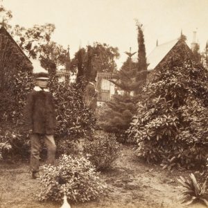 View in the Melbourne Cemetery. (1861-62)