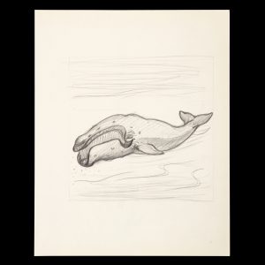 "Peter the Whaler in Southern Seas" : an archive relating to the book's creation and publication.